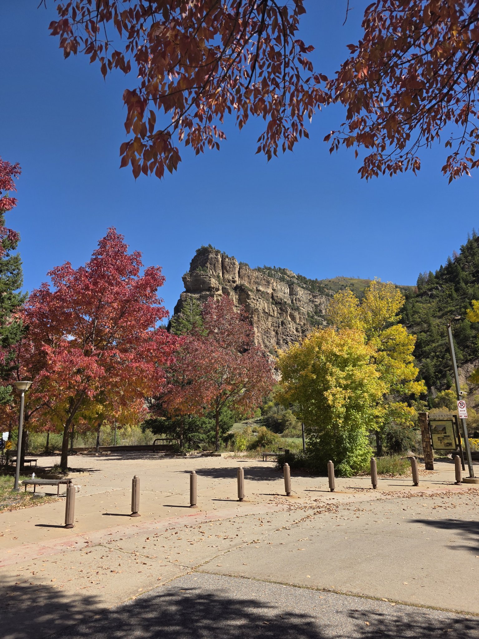 Towering canyon cliffs streaked with gold and red fall foliage under a blue sky
