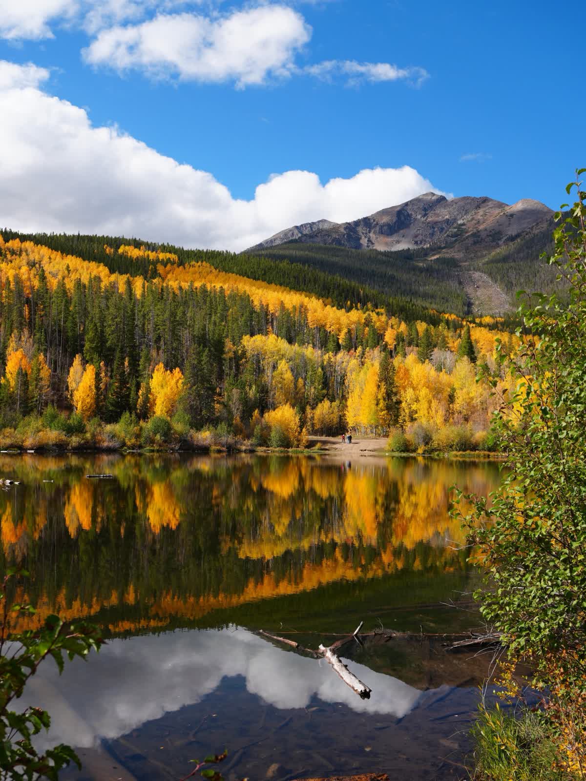 Golden aspens reflecting in the glassy water of Rainbow Lake, Frisco Colorado